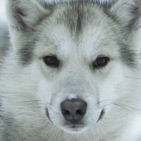 Ben Hilton - Videos & Short Films About Ben Hilton