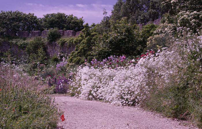 Great Gardens Trematon Castle Nowness