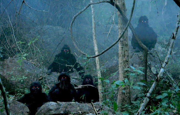 ลุงบุญมีระลึกชาติ Uncle Boonmee Who Can Recall His Past Lives (2010) |  NOWNESS