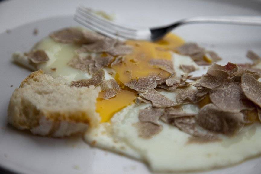 Foraging for Truffles NOWNESS