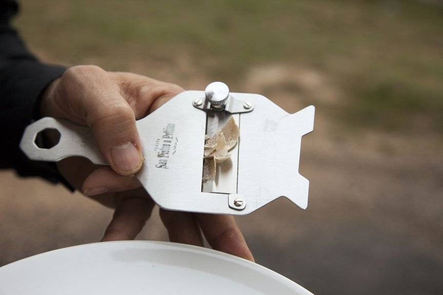 Foraging for Truffles NOWNESS